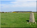 View across the field at Esgerholiw Triangulation Pillar in SA32 7PX