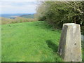 Hedge and field view at Cwm-Du Triangulation Pillar in SA32 8LJ