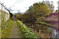 End of the Manchester Bolton & Bury Canal Salford arm in M27 8SW