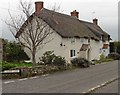 Thatched cottages, Ashill in Ashill