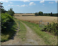 Farmland and track west of Ashton in NN12 7SW