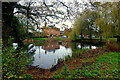 Apperley pond; late autumn in GL19 4AP