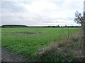 Farmland east of Lockby Farm in YO60 7QP