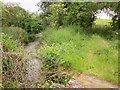River Chalke near Mount Sorrel in SP5 5BW