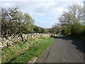 The lane from Holwick in DL12 0UX
