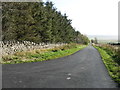The lane to Hunderthwaite in Romaldkirk