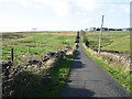 The lane to Mickleton in Romaldkirk