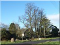 Churchyard trees, Flaxton in YO60 7RS