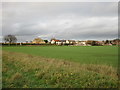 View towards housing on Silver Street, Whitley in Whitley (North Yorkshire)