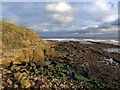 Rocks near Brown's Point in NE30 4PA