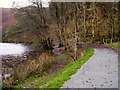 Path Along the Western Edge of Grasmere in LA22 9HH