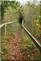 Zig-Zag Path in Titsey Plantation in RH8 0QN