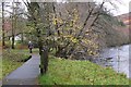 River Leven Trail, Kinlochmore in PH50 4QL