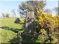 Field view at Cefn Wig Triangulation Pillar in SA46 0EG