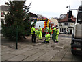 Christmas tree installation in TS14 6BZ
