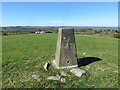 Field view from the Triangulation Pillar at Pen Moel Dihewyd in SA48 7PL