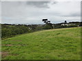 Looking over the fields to Penzance in TR20 8SN