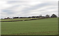 Fields near Longcot in SN7 7UA