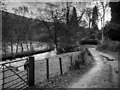 Under Loughrigg, River Rothay in LA22 9SA