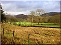 View from Under Loughrigg towards Rydal Fell in LA22 9SA