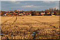 Stubble beside Higgins Lane, Burscough in L40 8AH