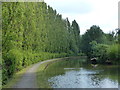 Tree lined towpath of the Grand Union Canal in MK7 7AJ