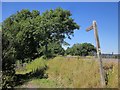 Bridleway signpost on Lyme Hill in DT6 6BZ