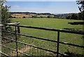 Pasture on Lyme Hill in DT7 3UE
