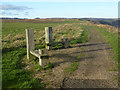 Bench beside the England Coast Path near Dene Mouth in TS27 4NN