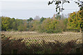 Fallow land near Yateley in RG27 0NQ