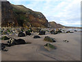 Cliffs and beach below Crimdon Dene Holiday Park in TS27 4BE