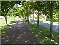 Tree lined path along Kirkstall Place in MK5 8BN