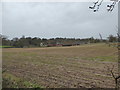View across the fields to Blaxhall Hall in Blaxhall