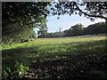 Field on slopes of Wootton Hill in DT6 6NP