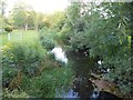 River Ash in Littleton (4) in TW17 0DF