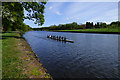 Rowing on the river Wansbeck in NE63 8XS