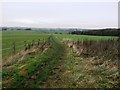 Fields and Bridleway near Upton Beacon in WF9 1NU