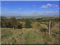 View NE along Burnley Way through Copy Clough Plantation in BB11 3QS