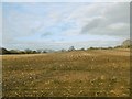 Tarrant Crawford, stubble field in DT11 9DF