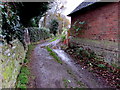 Public footpath south from High Street, Albrighton in WV7 3RE