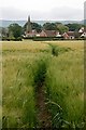 Public Footpath to Swainby in DL6 3EF
