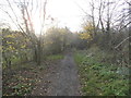 Bridleway through Ruislip Woods in HA6 1NJ