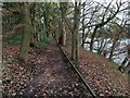 Footpath on the west side of Worthington Lakes in WN1 2UU