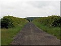 Track to New Farm in Knapwell