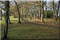 Footpaths and trees, Kilmardinny Loch in Bearsden