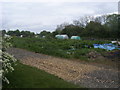 Powis Lane allotments in MK4 4ND