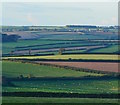 Fields and hedgerows south of Dunstone, Devon in TQ7 2ND
