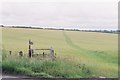 Milborne St. Andrew: bridleway through field in DT11 0HX