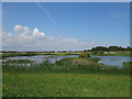 The Scrape at Sandwich Bay bird reserve in CT13 9PR