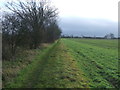 Field And Footpath in CB8 9XL